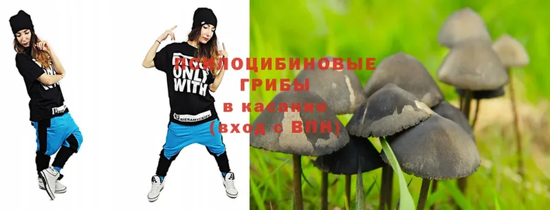 даркнет сайт  Георгиевск  OMG как войти  Галлюциногенные грибы Magic Shrooms 